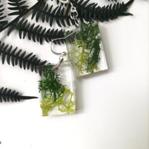 Lišejník islandský