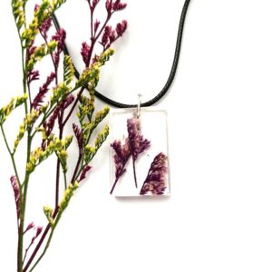 Limonium