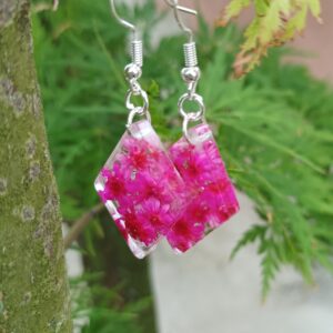 Comanthera růžová