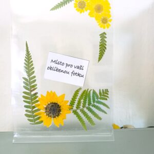 Rudbekie
