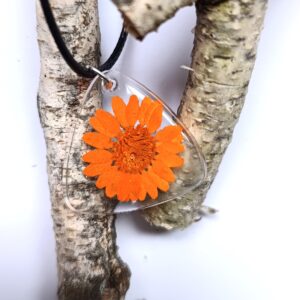 Oranžová "kopretinka"